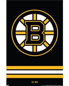 NHL Boston Bruins - Logo 21