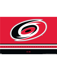 NHL Carolina Hurricanes - Logo 21
