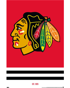 NHL Chicago Blackhawks - Logo 21