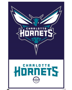 NBA Charlotte Hornets - Logo 21