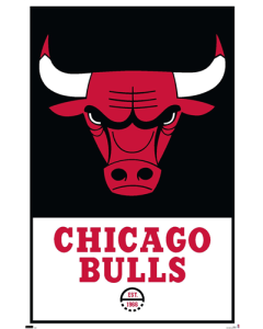 NBA Chicago Bulls - Logo 21