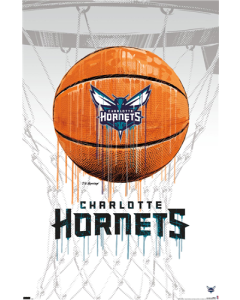 NBA Charlotte Hornets - Drip Basketball 21
