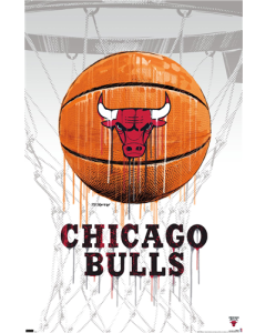 NBA Chicago Bulls - Drip Basketball 21