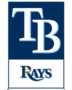 MLB Tampa Bay Rays - Logo 22