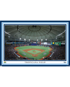 MLB Tampa Bay Rays - Tropicana Field 22