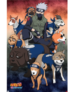 Naruto Shippuden - Kakashi Ninja Hounds