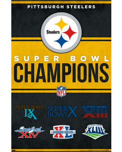 NFL Pittsburgh Steelers - Champions 23