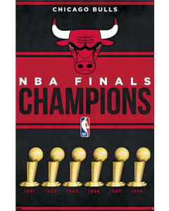 NBA Chicago Bulls - Champions 23