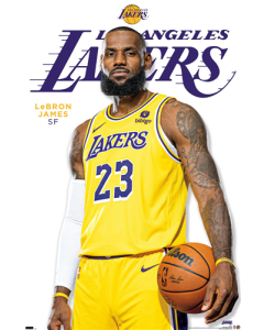 NBA Los Angeles Lakers - LeBron James Feature Series 23