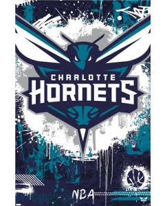 NBA Charlotte Hornets - Maximalist Logo 23