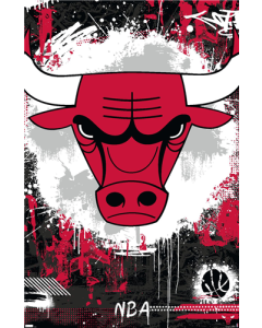 NBA Chicago Bulls - Maximalist Logo 23