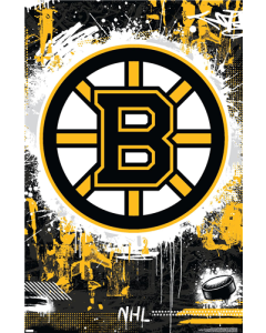 NHL Boston Bruins - Maximalist Logo 23