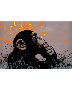 Ali Michael - Thinker Monkey