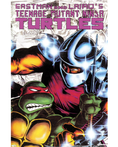 Nickelodeon Teenage Mutant Ninja Turtles - #10