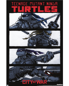 Nickelodeon Teenage Mutant Ninja Turtles - IDW Grid