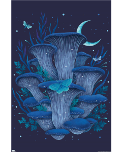 Episodic Drawing - Blue Oyster