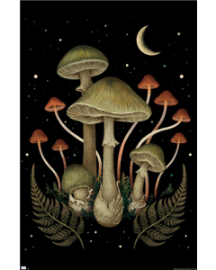 Episodic Drawing - Death Cap