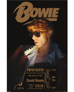 David Bowie - Diamond Dogs LA Tour 1974