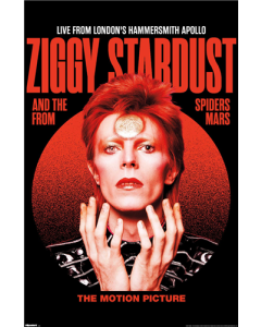 David Bowie - Ziggy Stardust Live