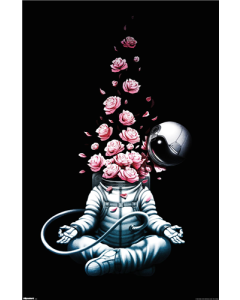 Tobe Fonseca - Astro Meditation Roses