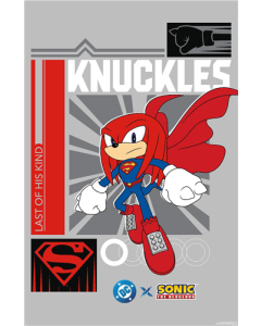 DC X Sonic The Hedgehog - Knuckles Last Of His Kind