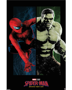 Marvel Spider-Man: Brand New Day (2026) - Spidey and Hulk