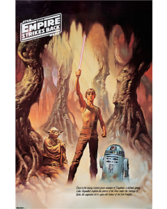 Star Wars: Episode V - The Empire Strikes Back (1980) - Degobah Illustration