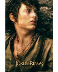 The Lord of the Rings: The Return of the King (2003) - Frodo One Sheet