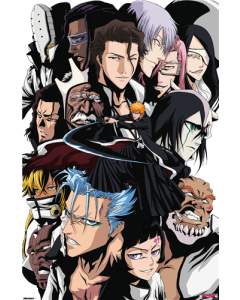 Bleach (2006) - Gotei 13 Warriors