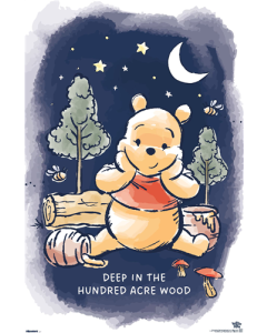 Disney Winnie The Pooh (1966) - Night In The Woods Pooh