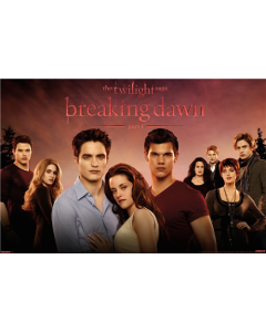 The Twilight Saga: Breaking Dawn - Part 1 (2011) - Group One Sheet