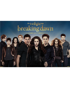 The Twilight Saga: Breaking Dawn - Part 2 (2012) - Group One Sheet