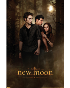 The Twilight Saga: New Moon (2009) - Teaser One Sheet