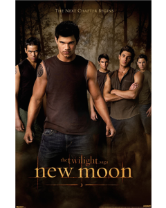 The Twilight Saga: New Moon (2009) - Wolf Pack One Sheet