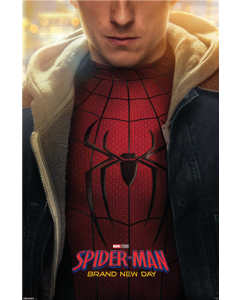 Marvel Spider-Man: Brand New Day (2026) - Peter One Sheet