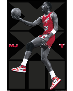 Michael Jordan NBA Chicago Bulls - XXIII