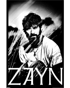 Zayn - Field Portrait