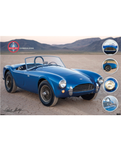 Shelby Cobra - Shelby Cobra 289