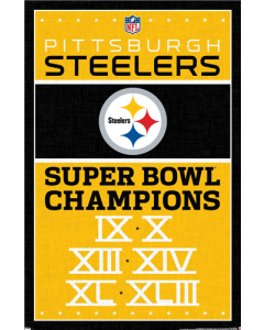 NFL Pittsburgh Steelers - Champions 13