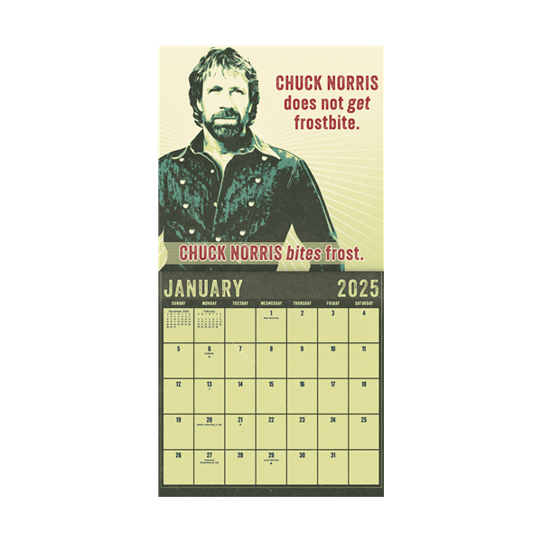 dateworks-2025-chuck-norris-wall-calendar
