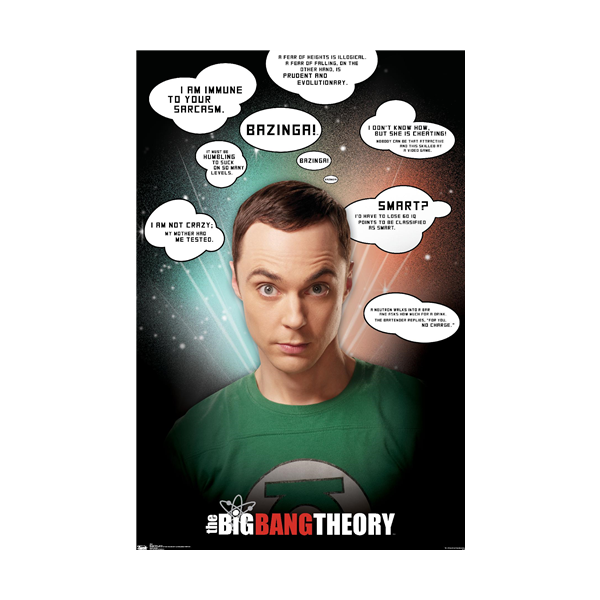 Trends International The Big Bang Theory Quotes Wall Poster
