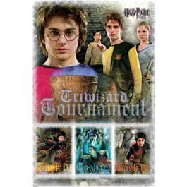 Trends International Harry Potter And The Goblet Of Fire Triwizard